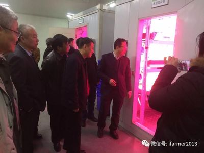 市人大領導深入旭田光電調研，助推植物工廠農業種植創新發展