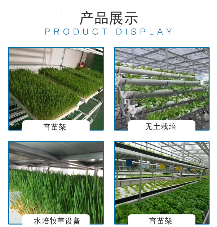 智能牧草種植設備 青泓農業引領綠色養殖新時代